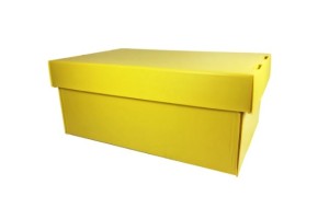CAIXA POLIBRAS ORGANIZADORA (MINI) AMARELA