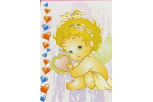 CADERNO DE ANOTAÇÕES TAMOIO 150X110 CAPAS SORTIDAS