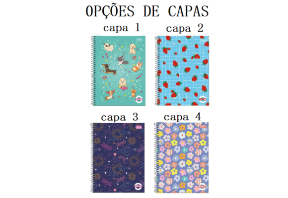 https://www.colegiotomazbaby.papelariapremium.com.br/image/cache/data/eftr/Img_ftr_rp_394501-580x400.PNG
