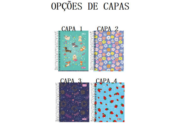https://www.colegiotomazbaby.papelariapremium.com.br/image/cache/data/eftr/Img_ftr_rp_409101-580x400.PNG